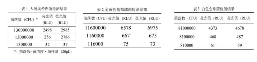 白底_副本_副本.jpg 白底_副本_副本.jpg