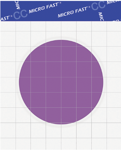 大腸菌群測試片.png