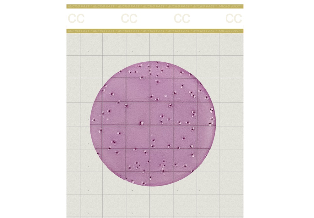 PREMIUM大腸菌群測試片.png PREMIUM大腸菌群測試片.png