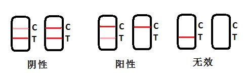 丁香酚快速檢測卡 丁香酚快速檢測卡