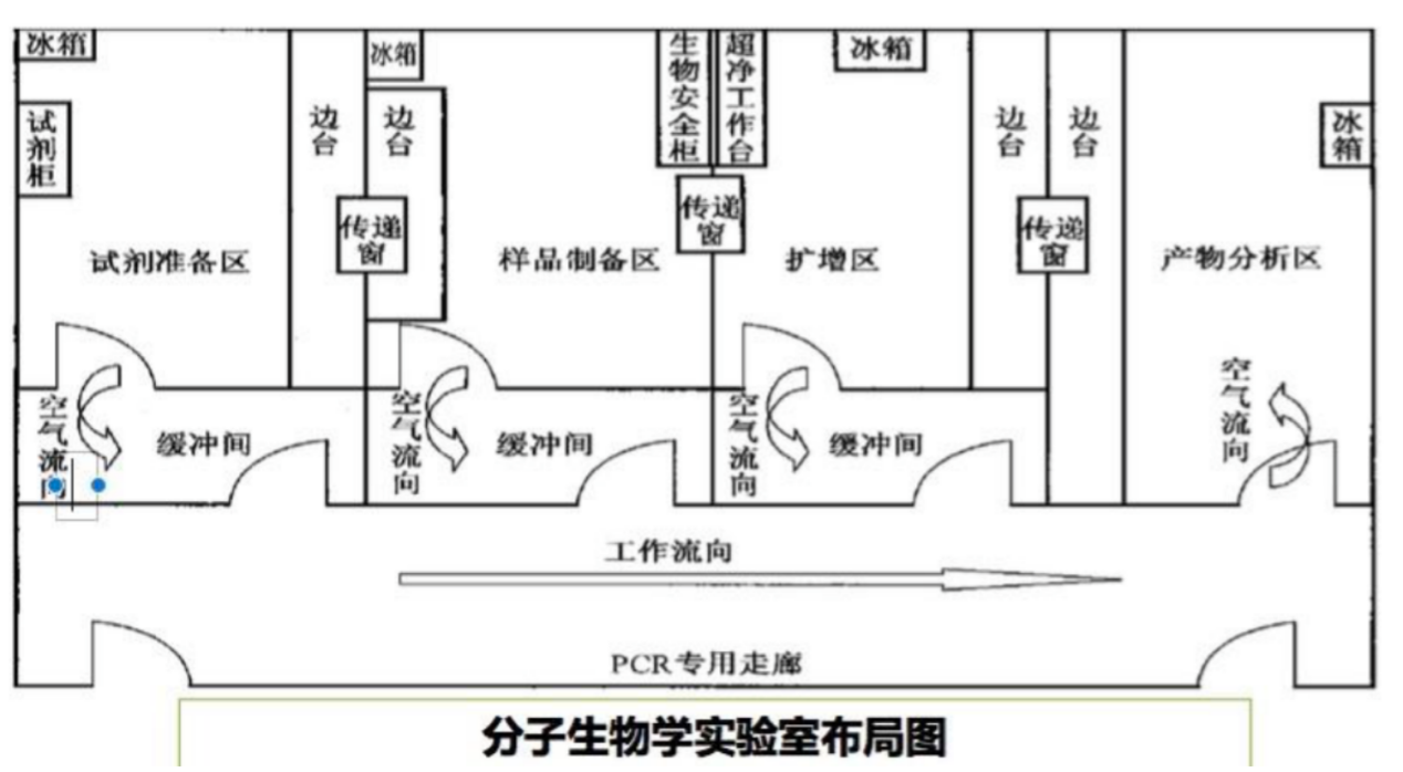 分子實驗室布局圖.png